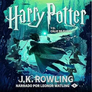 Harry Potter y el cáliz de fuego: Harry Potter 4